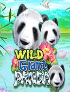 สูตรเล่น โจ๊ก เกอร์ 123 thxe88 ฟรี เครดิต ที่ควรรู้